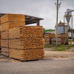 Fördermittel für die Holzverarbeitung in Brandenburg nutzen.