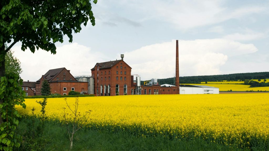 Kleine Brauereien in Brandenburg nutzen Fördermittel für Wachstum und Digitalisierung.