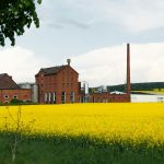 Kleine Brauereien in Brandenburg nutzen Fördermittel für Wachstum und Digitalisierung.