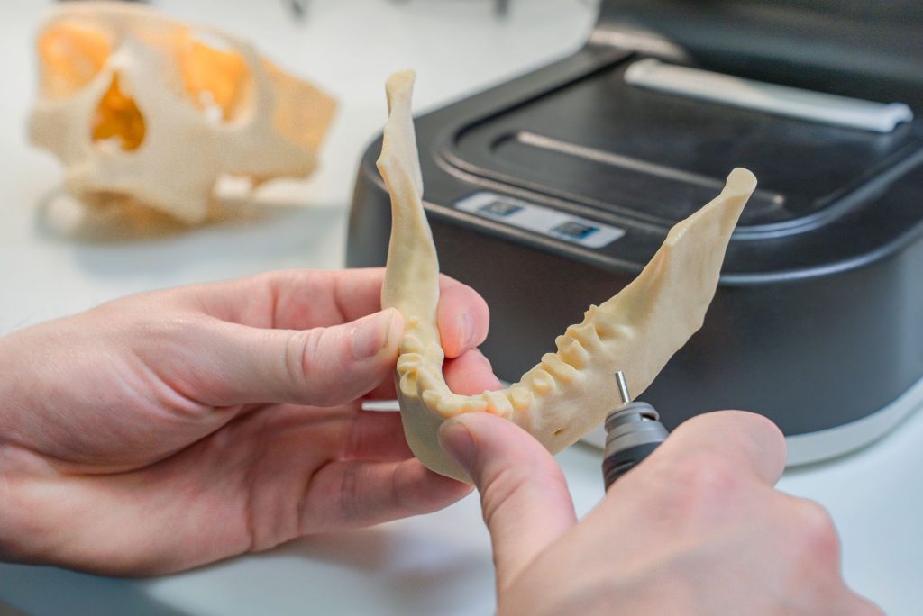 3D-Druck Technologie in der Dentalindustrie in Brandenburg.